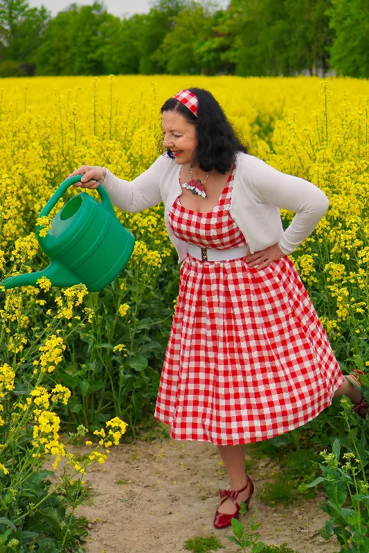 Amanda Retro Red Gingham Fit and Flared Dress